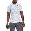 adidas  Club Graphic Polo White Férfipóló