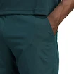 adidas  Tennis Climacool Ergo Shorts Aurora Ivy Férfirövidnadrág