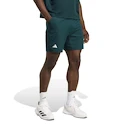 adidas  Tennis Climacool Ergo Shorts Aurora Ivy Férfirövidnadrág