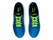 Asics  Evoride   Férfi futócipő