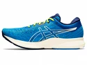 Asics  Evoride   Férfi futócipő