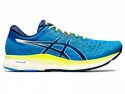 Asics  Evoride   Férfi futócipő