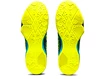 Asics    Férfiteremcipő