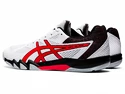 Asics    Férfiteremcipő