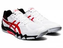 Asics    Férfiteremcipő