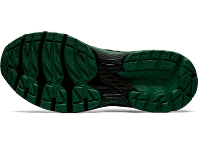 Asics  GT 2000   Férfi futócipő