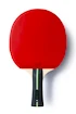 Butterfly  Ovtcharov Expert  Pingpongütő