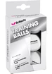 Butterfly  Training (6 Pack)  Labdák
