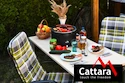 Cattara   stolní KEG na dřevěné uhlí  Grill