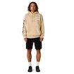 CCM  Athleisure Hood Oat Milk Férfi-melegítőfelső
