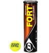Dunlop  Fort Clay Court  Teniszlabdák