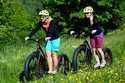 Fat Max Kickbike roller