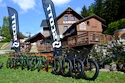 Fat Max Kickbike roller