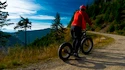 Fat Max Kickbike roller