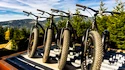 Fat Max Kickbike roller