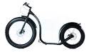 Fat Max Kickbike roller