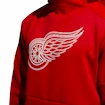 Férfi adidas Player pulóver kapucnis NHL Detroit Red Wings NHL pulóver