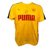 Férfi Puma Arsenal FC Spectra sárga póló eredeti Petr Čech aláírással