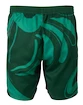 Fila  Shorts Leo Aventurine/Print Férfirövidnadrág