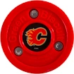 Green Biscuit  Calgary Flames  Hokikorong