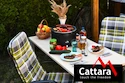 Grill Cattara asztali KEG faszénparázshoz