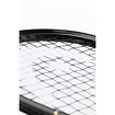 Head  Graphene 360+ Speed 120 SB  Squash-ütő