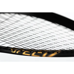 Head  Graphene 360+ Speed 120 SB  Squash-ütő
