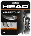 Head  Velocity (12 m)  Teniszütő húrozása