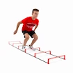 Hockeyshot  Boost Ladder  Tréninglétra