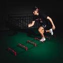 Hockeyshot  Boost Ladder  Tréninglétra