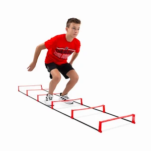 Hockeyshot  Boost Ladder  Tréninglétra