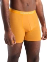Icebreaker  Anatomica Boxers Electric/Praline Férfiboxeralsó