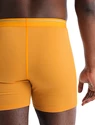 Icebreaker  Anatomica Boxers Electric/Praline Férfiboxeralsó