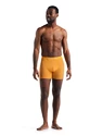Icebreaker  Anatomica Boxers Electric/Praline Férfiboxeralsó