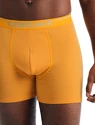 Icebreaker  Anatomica Boxers Electric/Praline Férfiboxeralsó