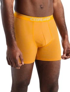 Icebreaker  Anatomica Boxers Electric/Praline Férfiboxeralsó