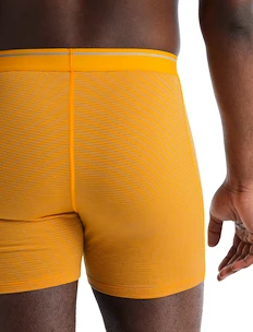 Icebreaker  Anatomica Boxers Electric/Praline Férfiboxeralsó