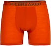 Icebreaker  Anatomica Boxers Férfiboxeralsó