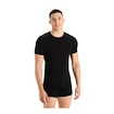 Icebreaker Merino Anatomica 150 SS Crewe Black Férfipóló