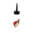 Inglasco Inc.  Arizona Coyotes Jéghokikulacs