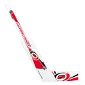 Inglasco Inc.  Goalie Carolina Hurricanes  Mini hokiütő