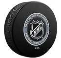 Inglasco Inc.  Logo Blister Carolina Hurricanes  Jéghokikorong