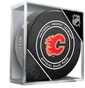 Inglasco Inc.  NHL Calgary Flames  Hivatalos jéghokikorong