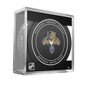 Inglasco Inc.  Official Game Puck Florida Panthers  Jéghokikorong