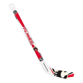Inglasco Inc. Player Calgary Flames Mini hokiütő