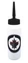 Inglasco Inc.  Winnipeg Jets Jéghokikulacs