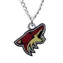 JF Sports Canada  NHL Arizona Coyotes Medál