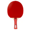 Joola  Team Junior  Pingpongütő