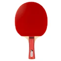 Joola  Team Junior  Pingpongütő