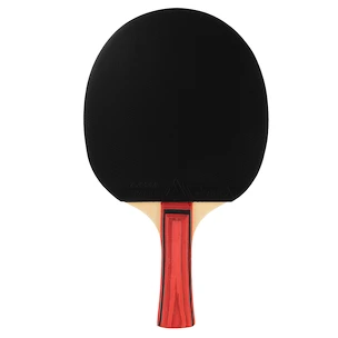 Joola  Team Junior  Pingpongütő